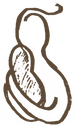Felesakis
